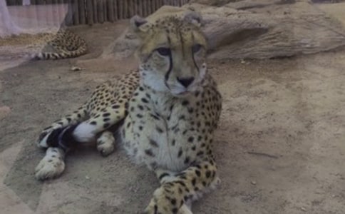 ������đ�����~