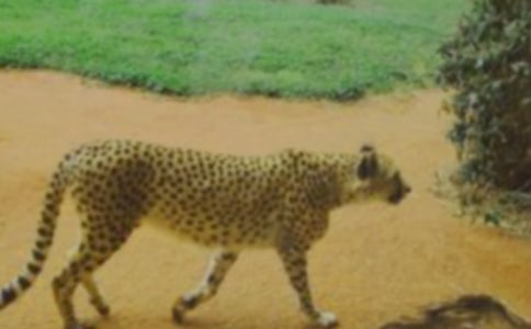 ����С�W(xu��)����