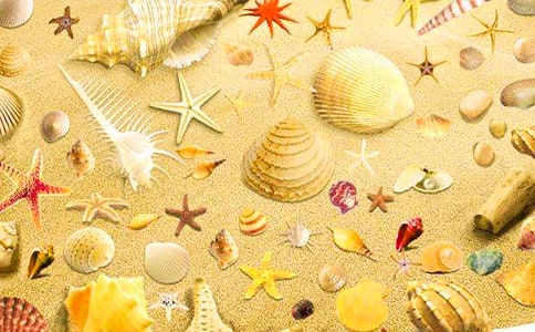 ��ؐ������15ƪ����(y��u)��