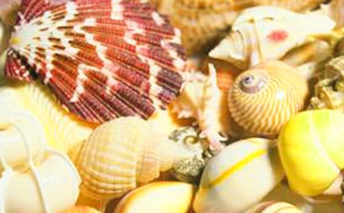 ������ؐ�����ģ�ͨ��25ƪ��