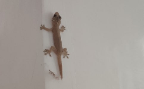 �ڻ��l(f��)�F(xi��n)�����\��7ƪ