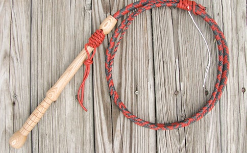 一生的鞭子的五年級作文400字