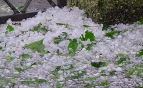 �������L��⑪���A��