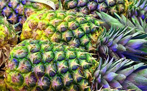 大樹菠蘿的營養(yǎng)功效
