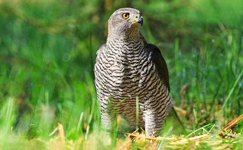 �n������400��5ƪ