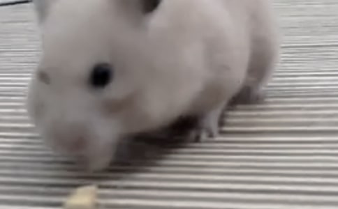 �}���^����ӛ(���x15ƪ)