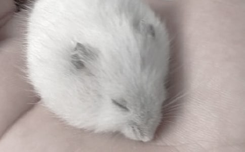 �}��İl(f��)�F(xi��n)����