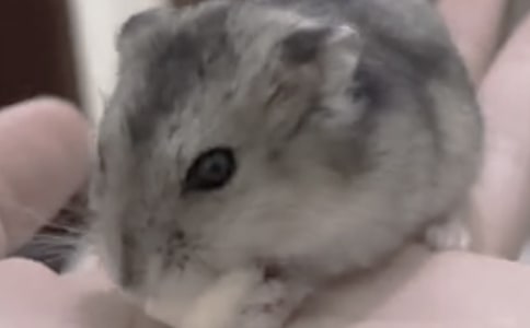 �}������400��