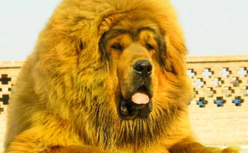 �����x���