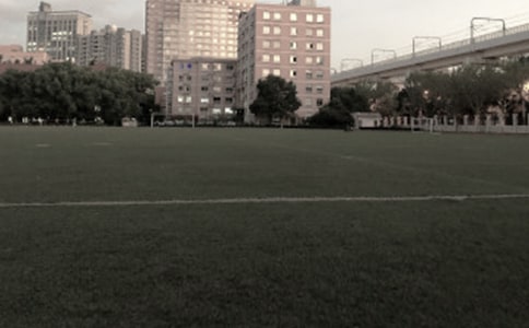 �����Ĳو�������