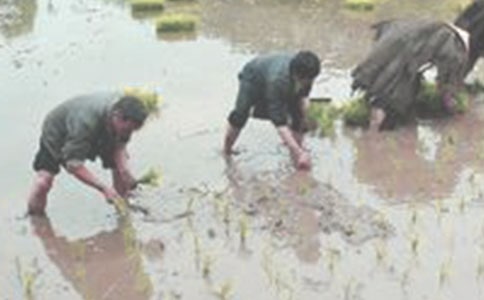 ȫ�^(q��)ˮ�����P(p��n)ϡ����C(j��)�����F(xi��n)��(ch��ng)��(hu��)�l(f��)�Ը巶��