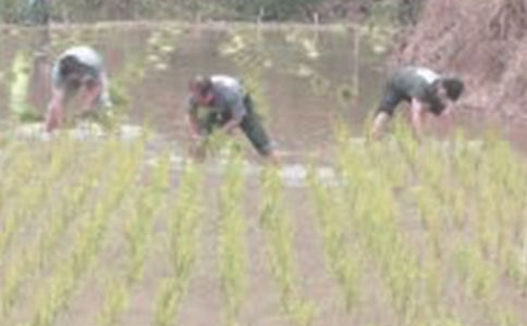 ���x��������400��3ƪ