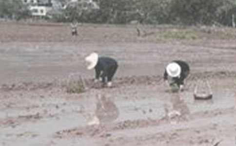 ������������700��