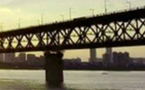 【推薦】長江作文300字3篇