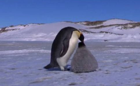 ������Ҫ������ ��Խ�����Đ�����