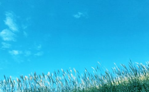 ���L(f��ng)���ů����