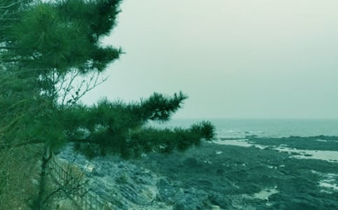 �ഺ�L�����ģ����x43ƪ��