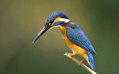 �����B�����_�n�̰�