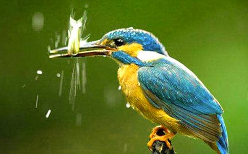 ��(sh��)�õĴ��B(ni��o)����300��37ƪ