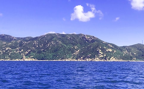 �󺣵����ģ����x26ƪ��