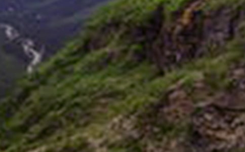 游大山作文(通用34篇)