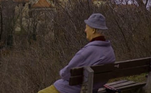 ��܇�����һ����400�֣����x16ƪ��