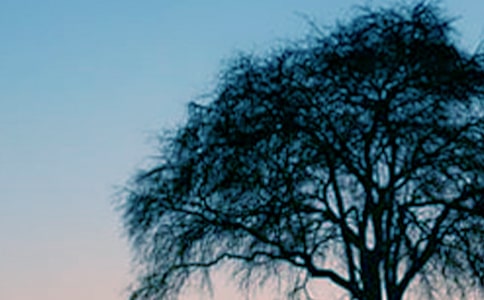 ��������600��