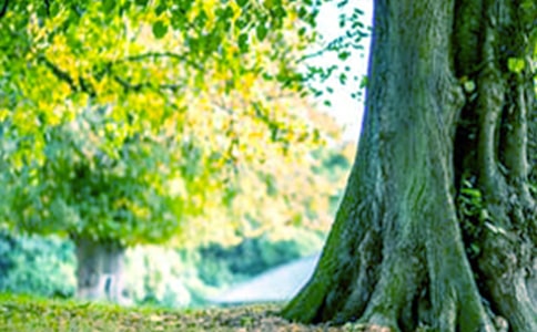 ������������(����15ƪ)