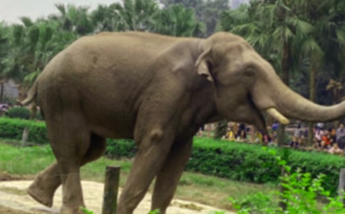 �P(gu��n)�ڴ���ͯԒ����300�֣�ͨ��38ƪ��