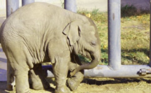 Λρ�c����ͯԒ���ģ����x18ƪ��