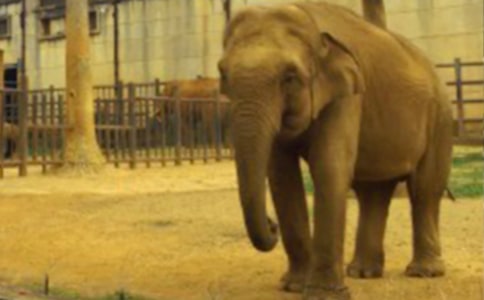 ���x��������