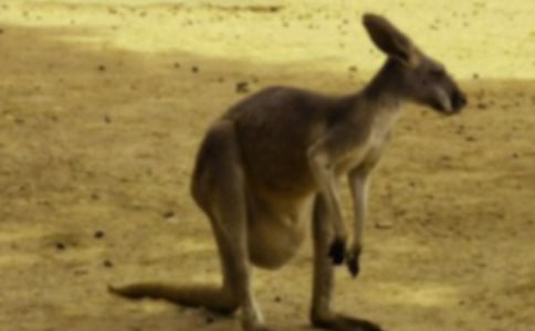 ���õĴ�������300��4ƪ