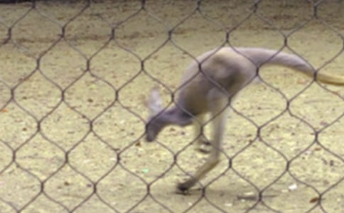 �����^����ӛ