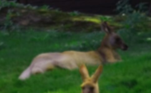 ��������400�ְ�ƪ