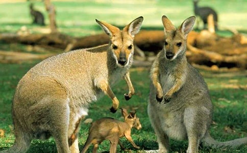 ���x��������400�֣�ͨ��30ƪ��