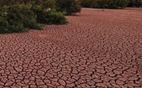 ���������������x���500��