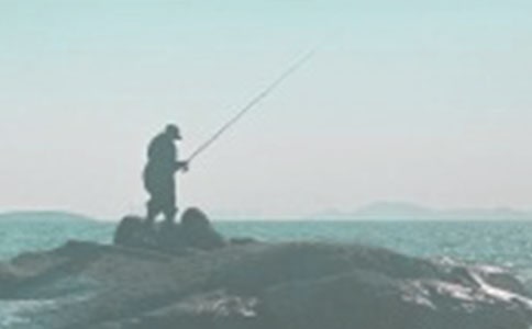 釣魚趣事作文合集15篇