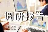 基層公共文化設(shè)施建設(shè)管理使用調(diào)研報告