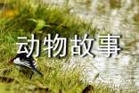 動物故事童話的作文八篇
