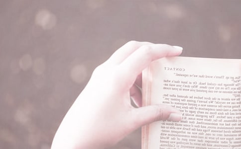 2016�������x�������}�߄���