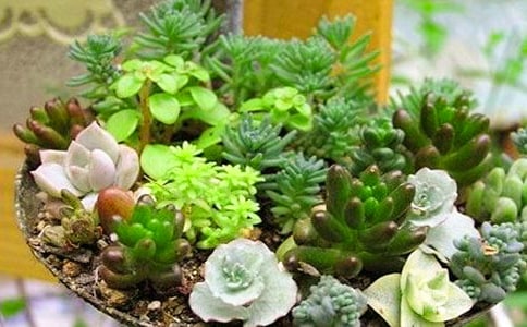 �B(y��ng)����ľ���