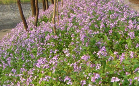 �����m֮�����500�֣����x12ƪ��