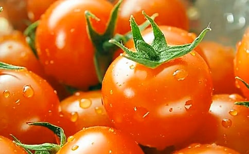 番茄太陽教學(xué)反思