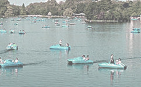 書(shū)海泛舟作文500字(精選23篇)