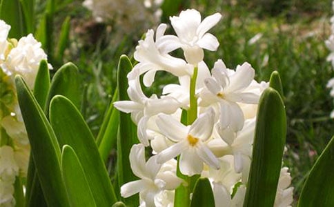 �ҵ��L(f��ng)����С�W(xu��)����