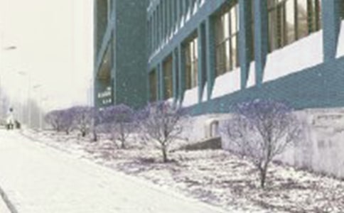 關(guān)于形容風(fēng)雪的比喻句