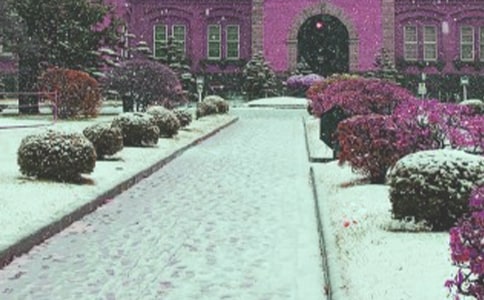 2021���Lѩ��ȫ�đ����A������