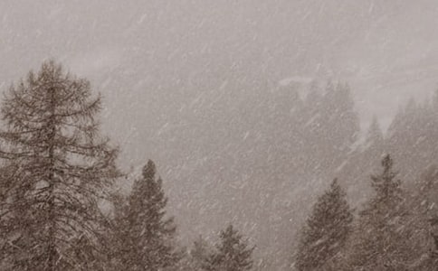 �L(f��ng)ѩ������400�ְ�ƪ