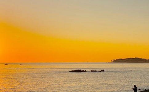 拂曉之光作文(通用10篇)