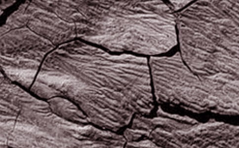 世界防治荒漠化和干旱日海報(bào)標(biāo)語